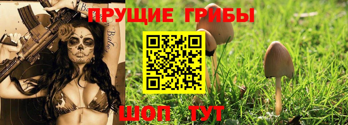 Псилоцибиновые грибы ЛСД  как найти закладки  Джанкой  Псилоцибиновые грибы Psilocybine cubensis  Вход с VPN 